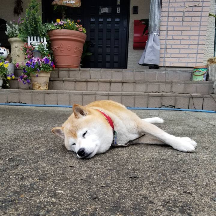 B61e5fe7 6584 4971 8611 909319c264a6 1717315083401