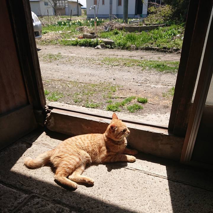 B61e64c6 bf33 4da9 8b3c 4c9513decc4b 1651148764487