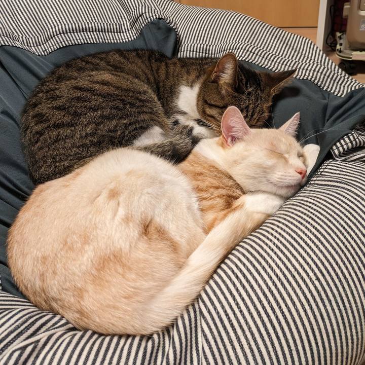 B61e7977 a710 4106 b16a d36a707b44e5 1700139002412