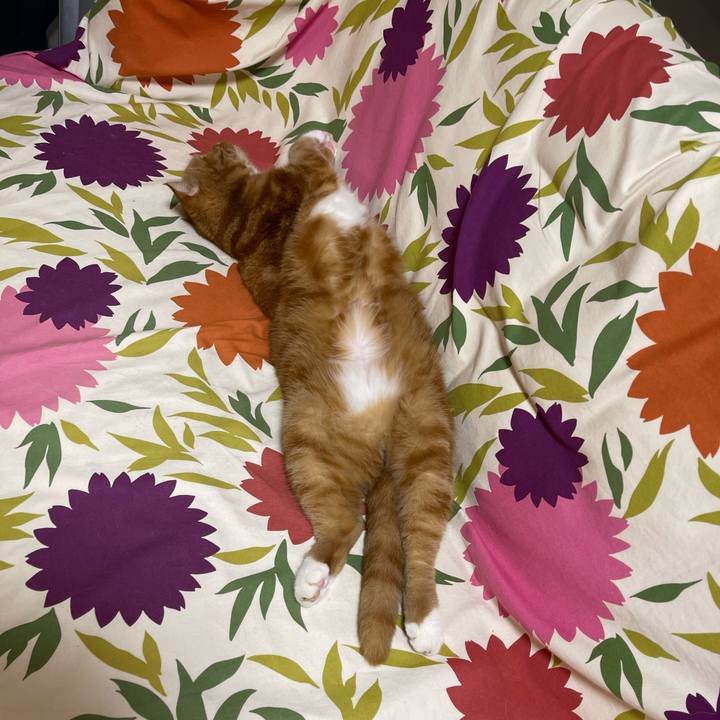 B61e7f09 c398 49dc b977 82122a47da70 1660139701757