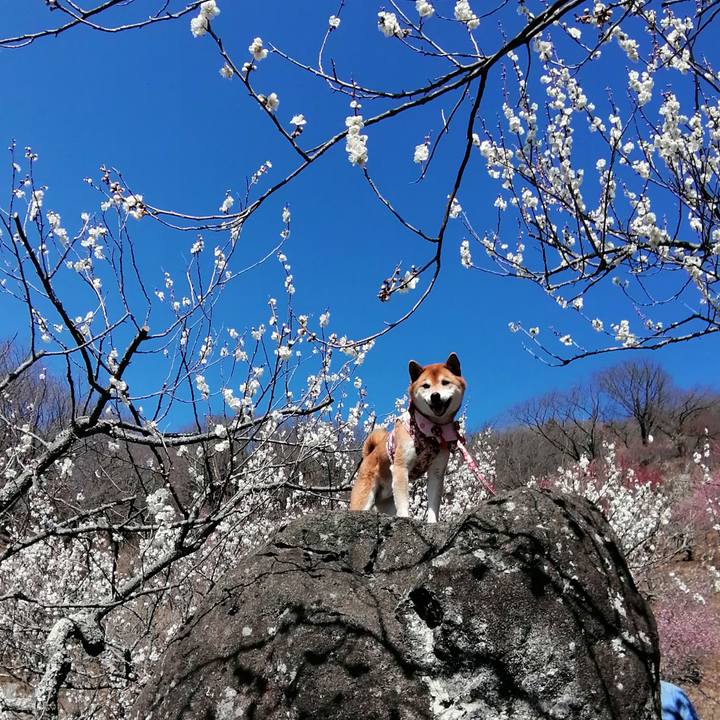 B61ebc99 c58a 4bcb aca1 b7a1e9aa69dc 1677845846544