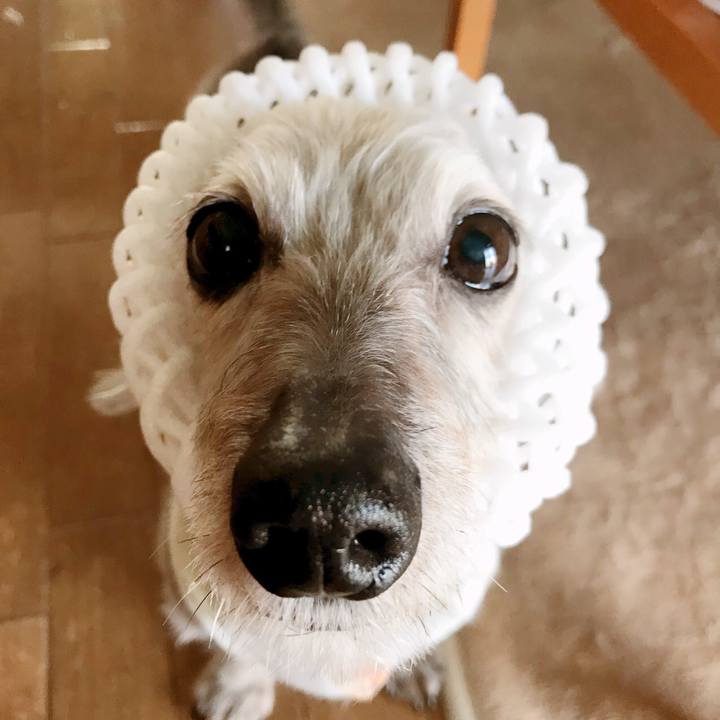 B61ed20f e3b4 42d2 bb9a 52d2eb09be56 1533889828961