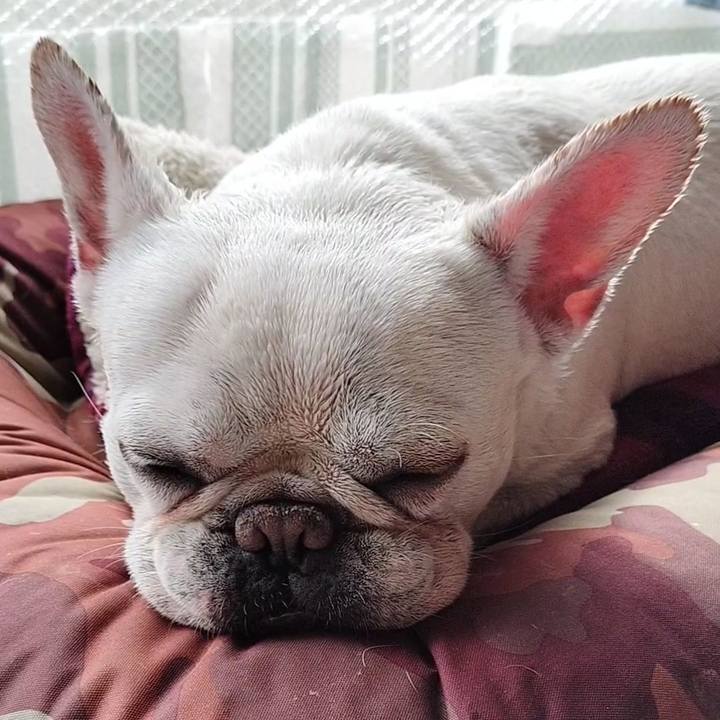 B61ef674 0ccd 4378 bd66 8b342defc2fd 1678596751236