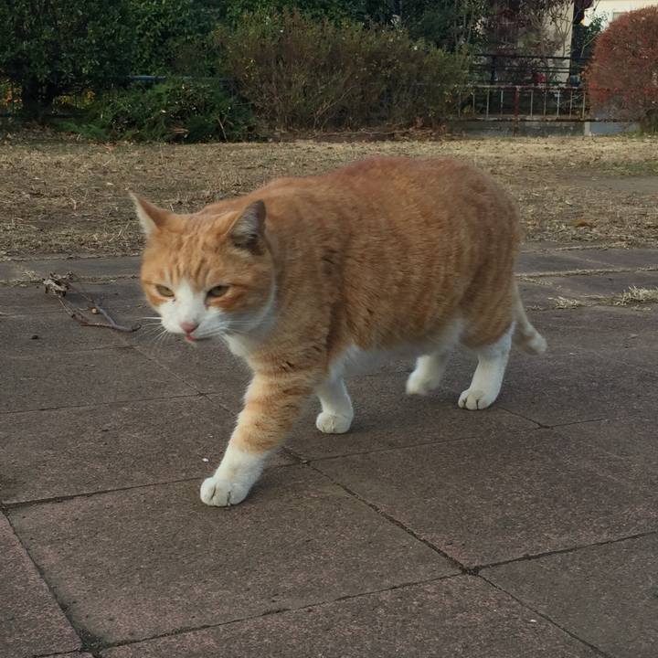 B61f163c 98b7 47e1 a034 81c3c326d139 1577892389701