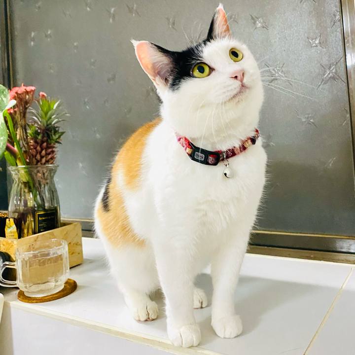 B61f3c53 eb1d 4e4c be3a 244e1be54b7e 1687219052951