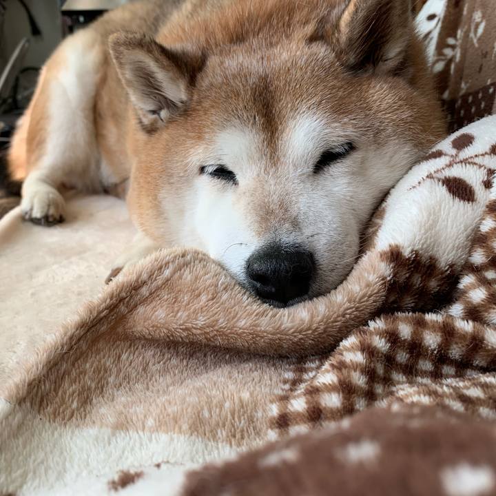 B61f7a5c d4cd 4f4e 9691 4dea93fc0736 1573359172971