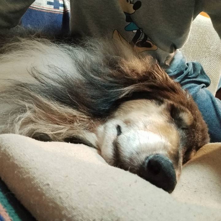 B61fd2b0 497a 48a9 8df0 268e7cf583ba 1621097327520