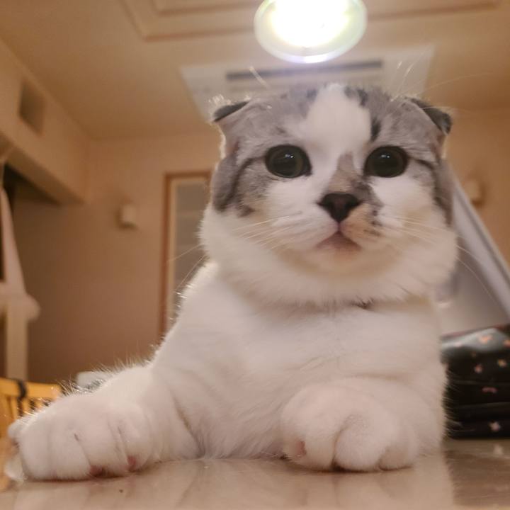 B61ff8ee 295f 42c1 8641 91ebc8180686 1633598590714