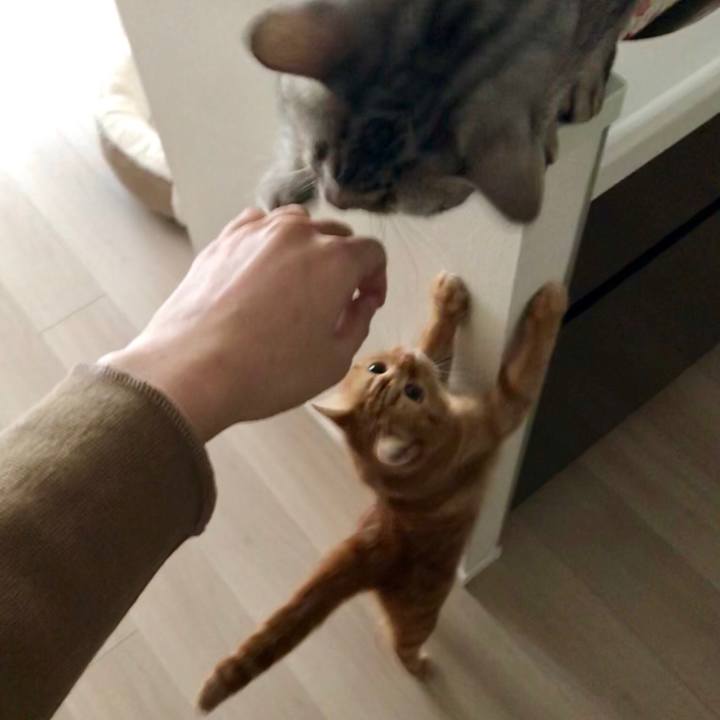 B6201e8a 4e20 4953 b7c8 37388fe91a4c 1513991554559