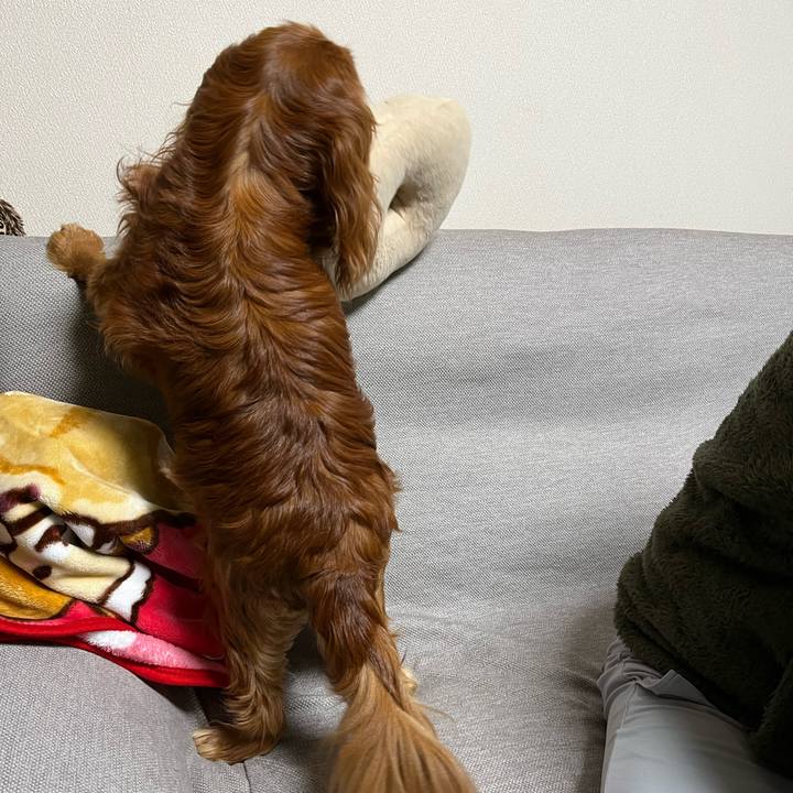 B62042bc e0b8 4308 9f0e 2b24833c3263 1768439906846