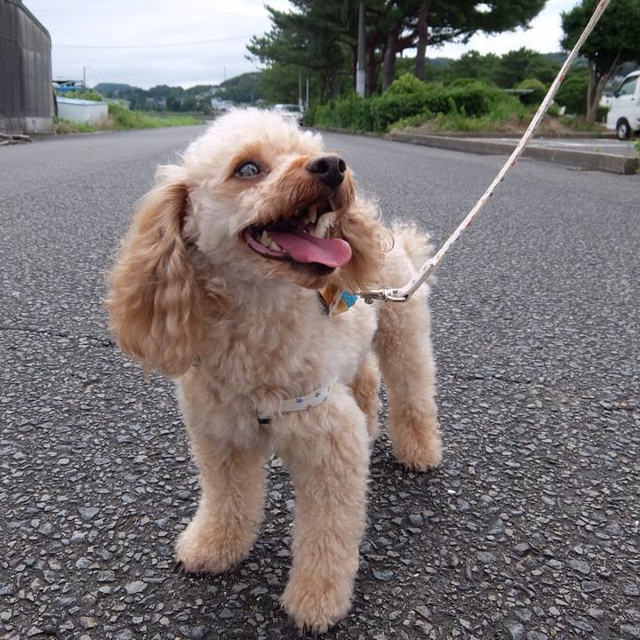 B6205052 8aaf 4c69 be40 2efde1a8381f 1531484599923