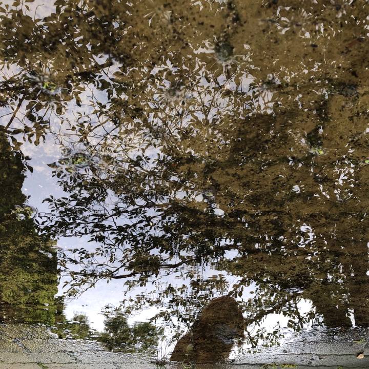 B6205331 01a2 42d6 b2b3 65c60a31bce5 1594471406009