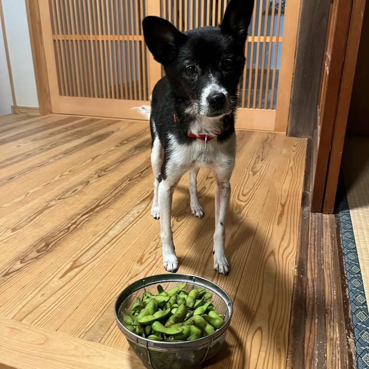 B620569a c410 438a 85db 71a0a410d76f 1761042851598