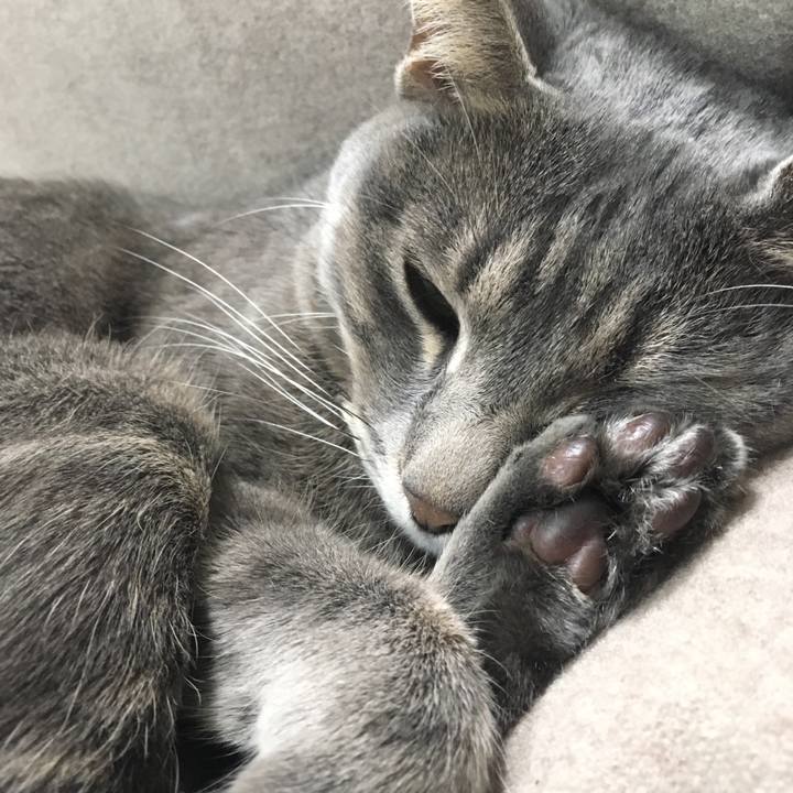 B620580b ab7c 4845 bbb0 b5cdef338f0f 1548501631757