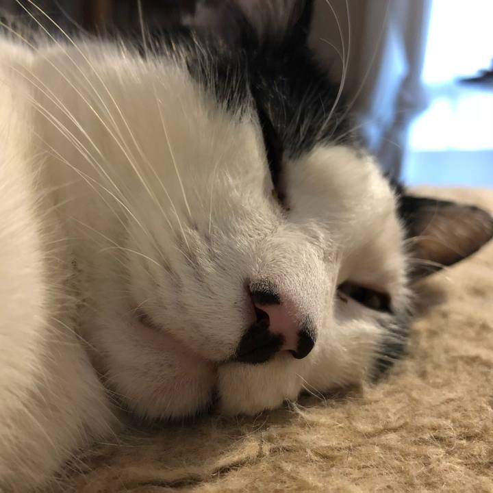 B6209b76 ccec 4d52 9f58 9ba4a43daff0 1553423640382