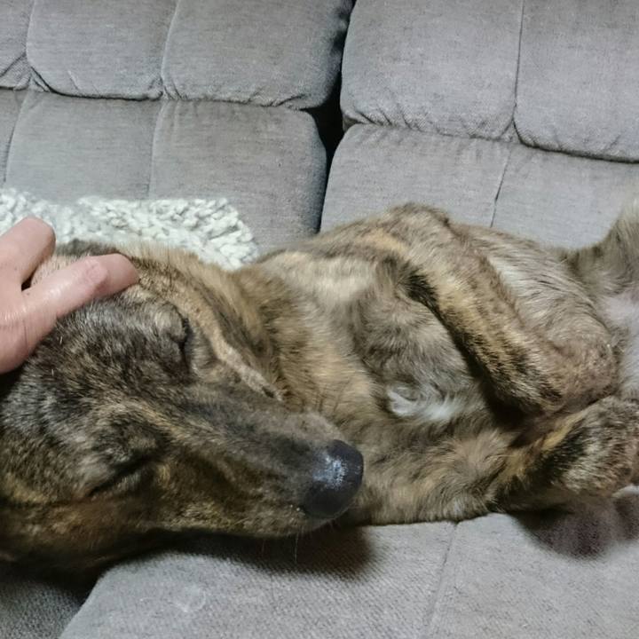 B6209bf8 67e2 4ef4 b582 c7f081b38d5a 1508238648815