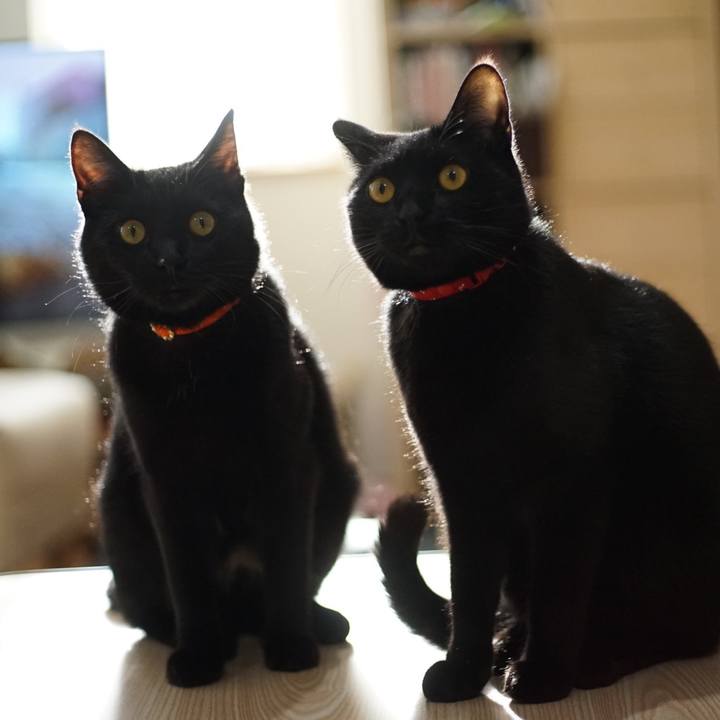 B620c074 ce76 489d ab18 c40eafb3ab2c 1582249572355