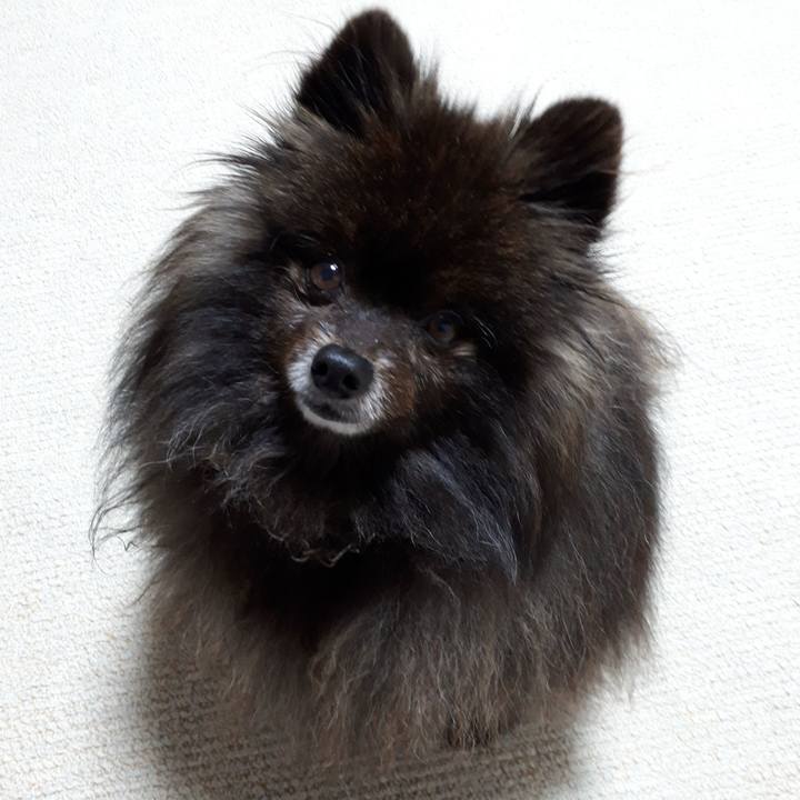 B620e6c8 8f12 4989 a935 ed56fbf5d026 1518371474199