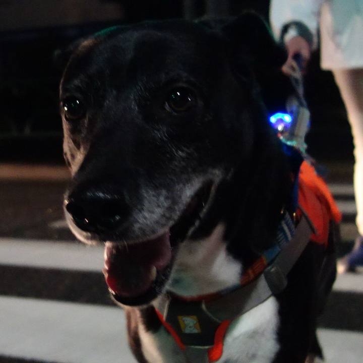 B6214e37 8be8 49a1 a3ee 8e62ddf4c813 1745665789893