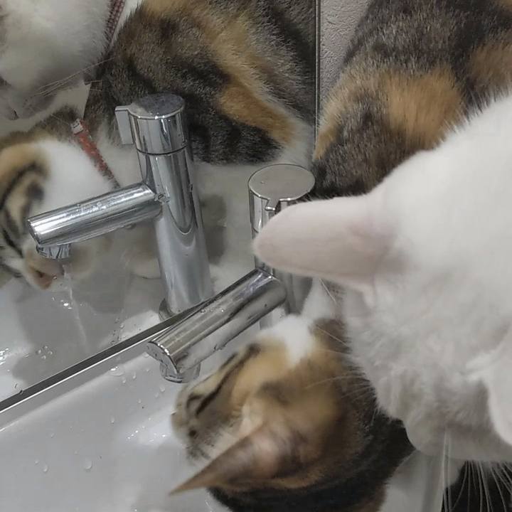 B6216bf9 5b31 4599 a2b7 58dab3281143 1630758580962