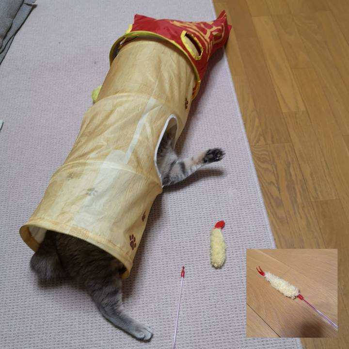 B62186f1 f8fe 46de 9758 43e90cee0a0c 1567518053091