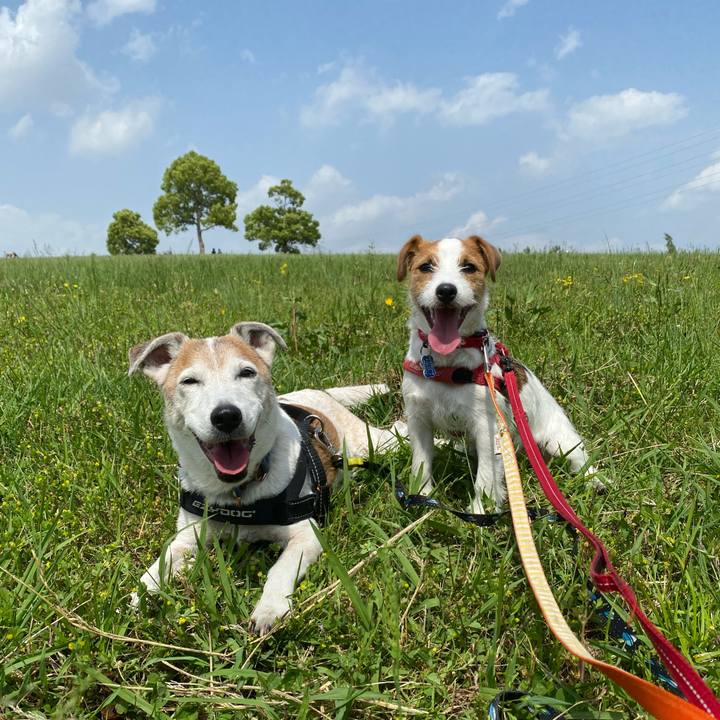 B621a8c1 ea21 4e22 8920 3715ad8814ec 1620540157761