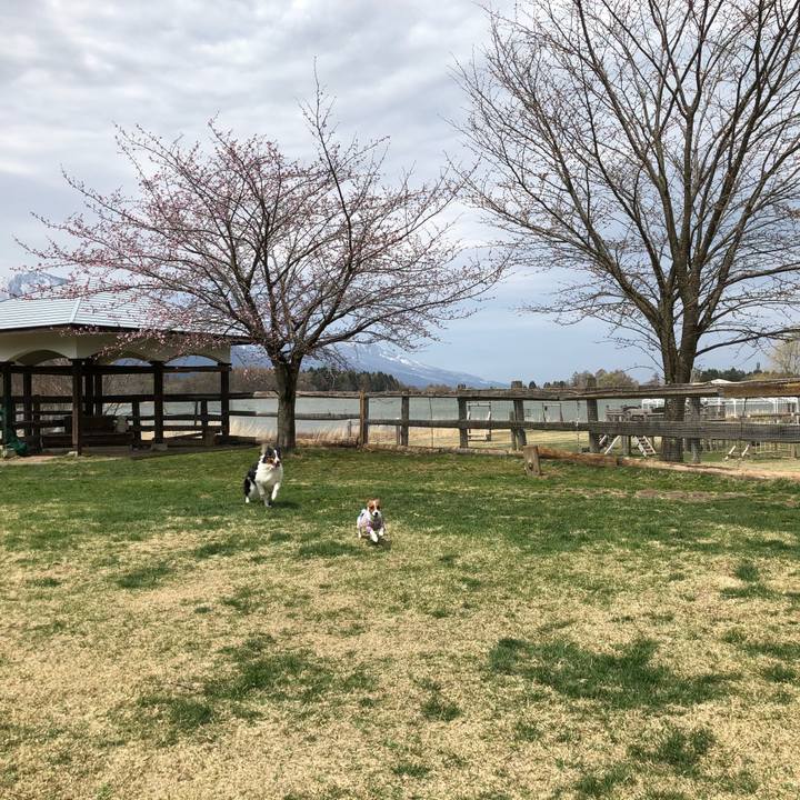 B621b171 8e1f 4176 b19d e6183b18e8ac 1523690090454