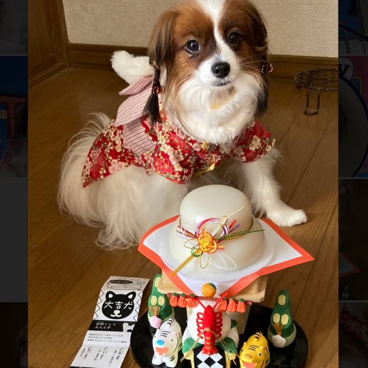 B621b876 80ec 41f7 a9e3 df45525b41e1 1641010690868