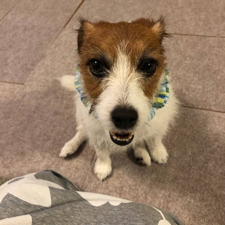 B621f139 9346 44cb ba95 367298ccc371 1597062508318