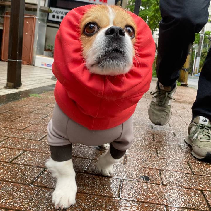 B621f2d6 6f3e 42ef 9ac6 16622b66b57c 1746545091264