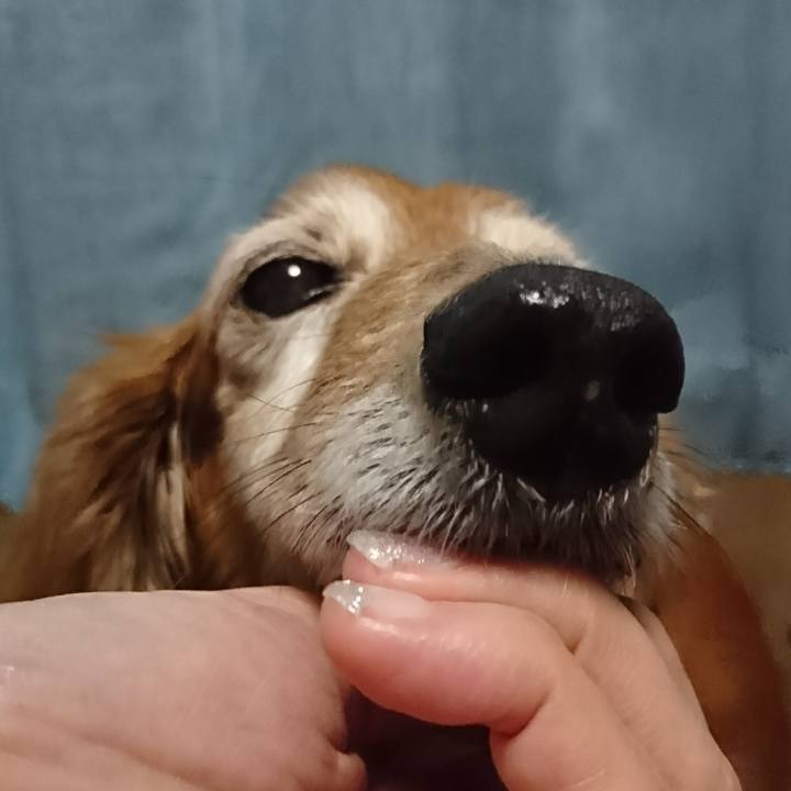 B621f930 6dbe 4076 a5d5 1dfb47ada677 1518339603294