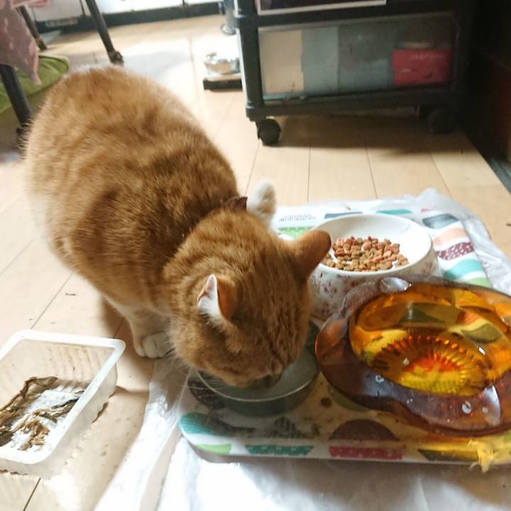 B62200b7 fc85 4aaa bf68 0dd6d013ce27 1607590655885