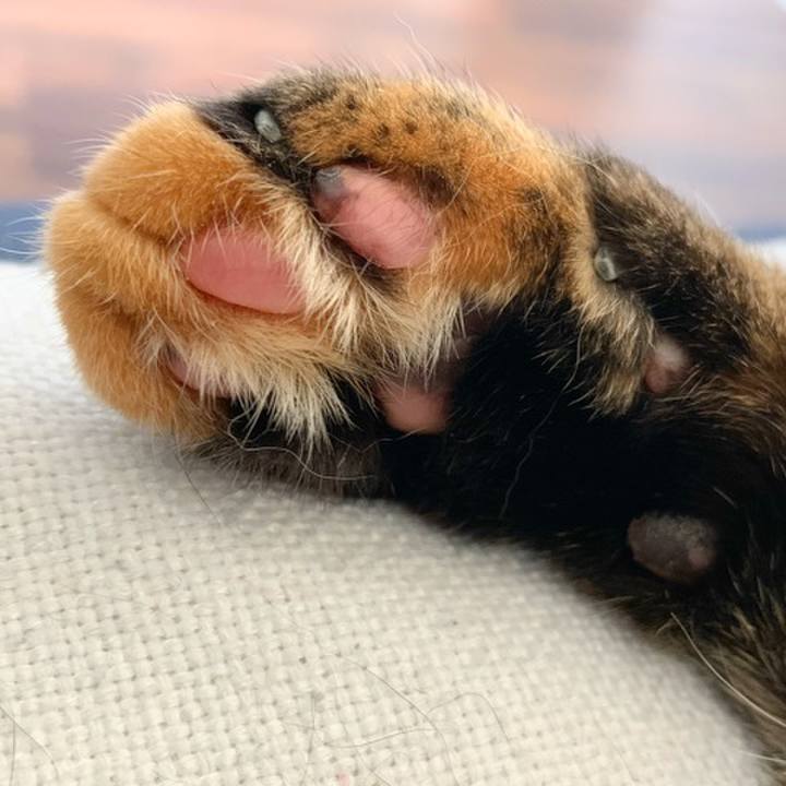 B6223e53 e087 4636 a9c7 db4883f3dc39 1588946778137