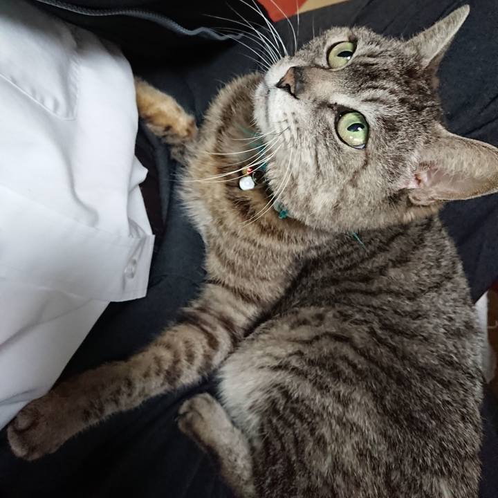 B62263c3 709b 4b89 8ebd 17bb0932b885 1558762924086