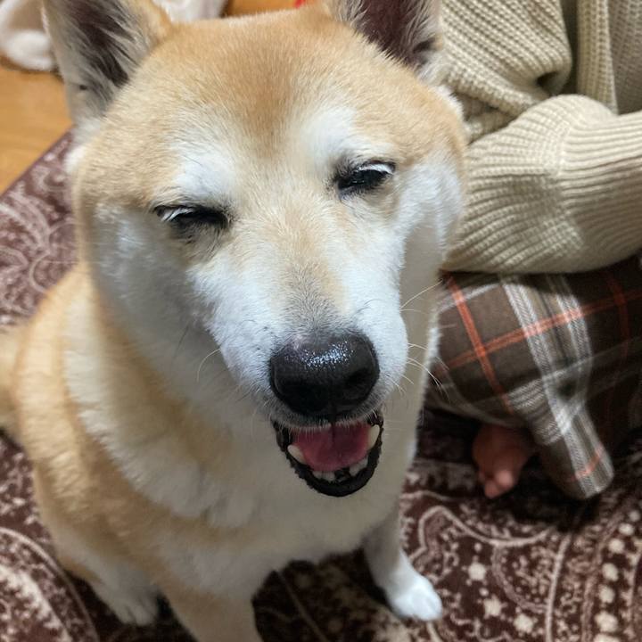 B622744d b675 4fbb b3bd 92a63b9aafd1 1615554697301