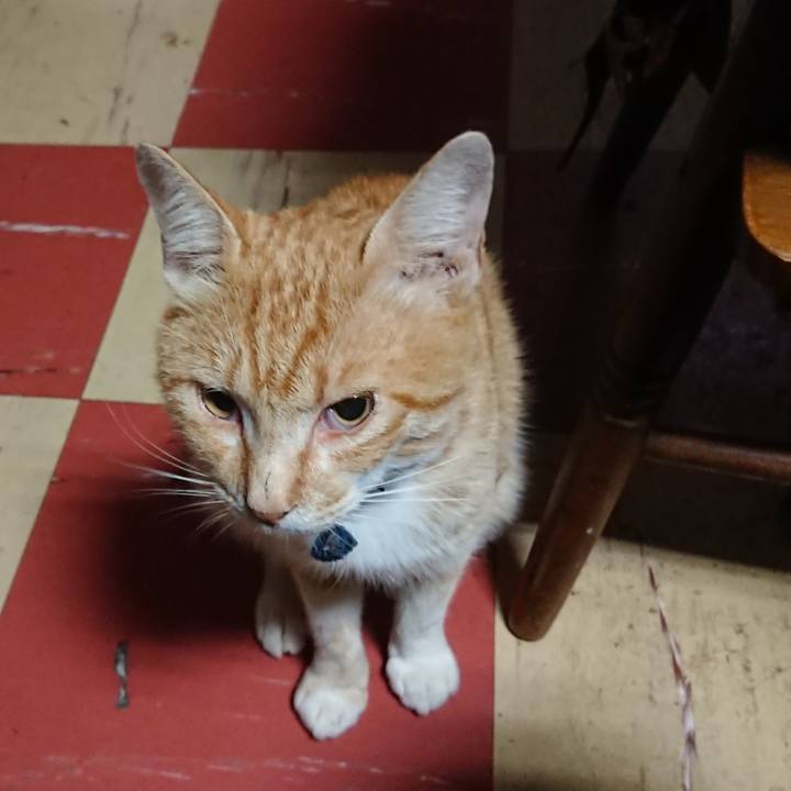 B622a3ed 136b 4a9a 9e5f 687515351fbc 1561146990372