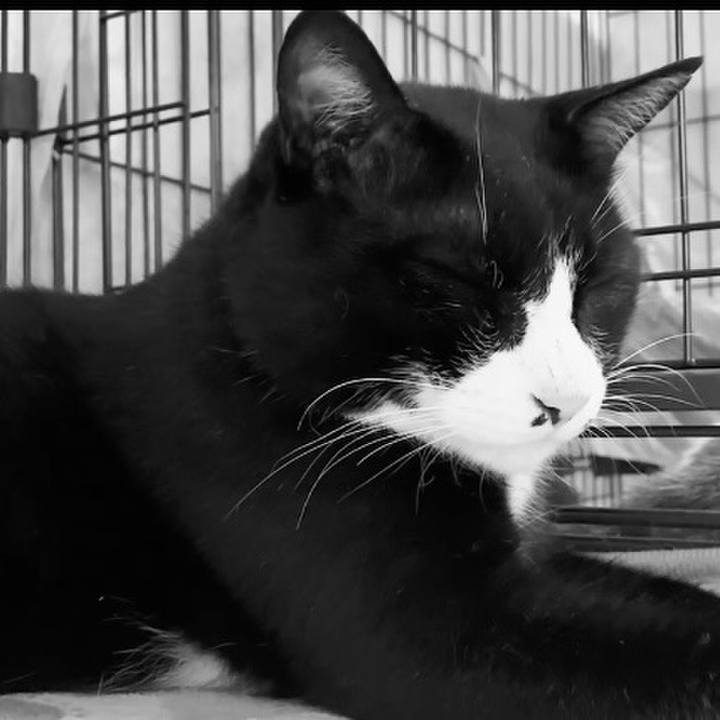 B622be94 62e8 4c64 9969 a87ad610656c 1752226914016