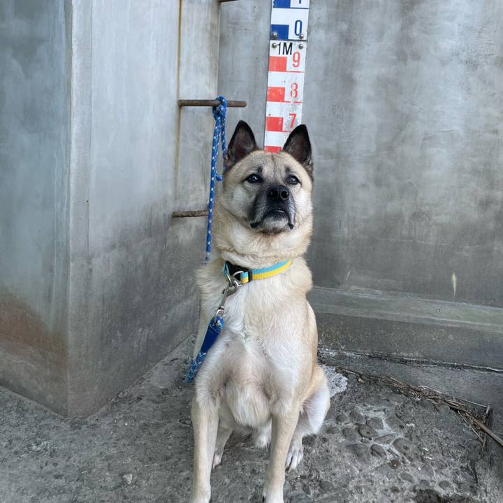 B622c4f3 f46a 49a9 91f2 ec83cf23c8c8 1642233212876