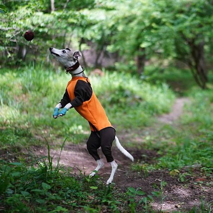 B622e890 873e 4b6b 9cce 6ae1bfbffbb7 1533031891233