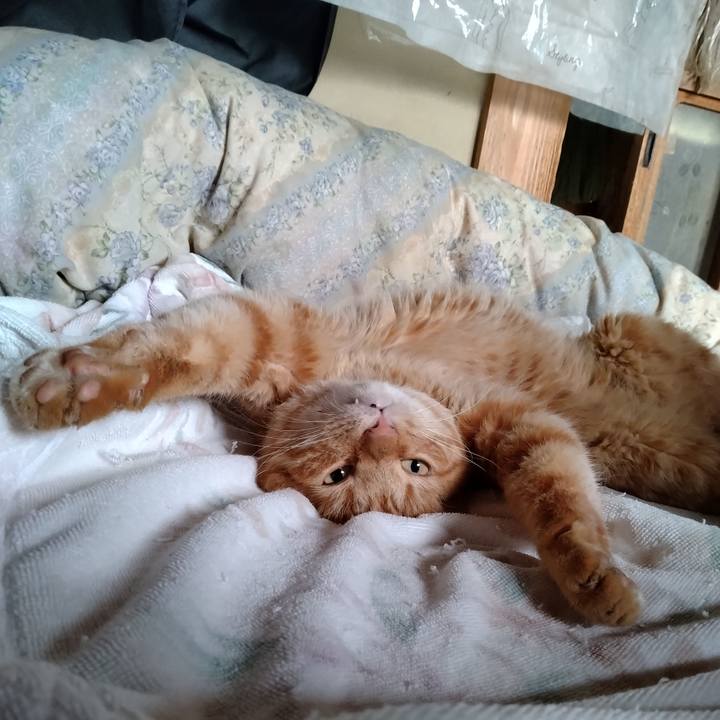 B622f5e8 a157 4650 936d ca805638a4dc 1724449233945