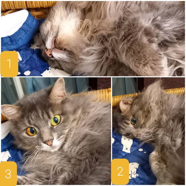 B6230d75 8999 4504 bc23 822c65e4db06 1623209209943