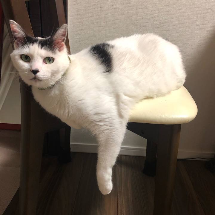 B6232e14 3ed0 4bb3 b1f1 28266dca1251 1570273827442