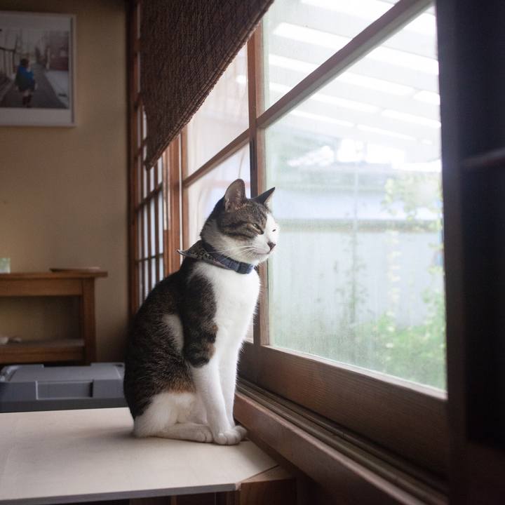 B623866d 4ca2 4e8a 96cc e2c36b02d3d8 1572155317152