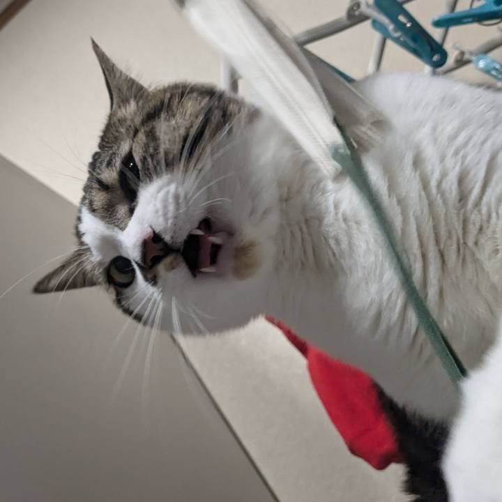 B623930a a585 4334 9bf7 99305f7afb46 1735473714331