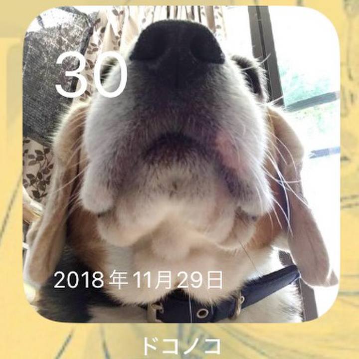 B623bb21 a033 495c 880e aef6a1ca4c27 1701302542269