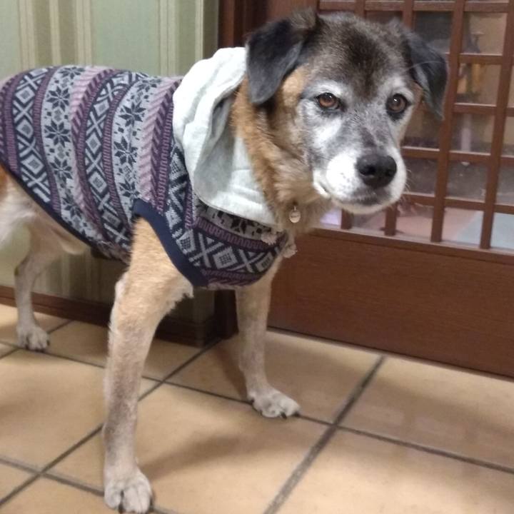 B623c802 a03b 4e09 ac92 44e7271e6089 1575538258701