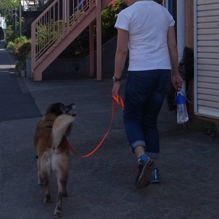 B623d2b4 dc60 45fd 8a28 3da2e03716ac 1586133440484