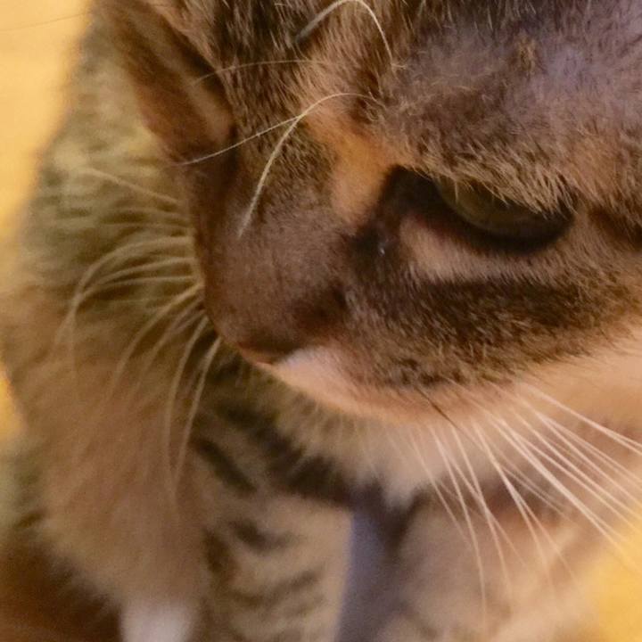 B623f6ff d004 4e17 a64c e9f5a93d01a4 1549206563541