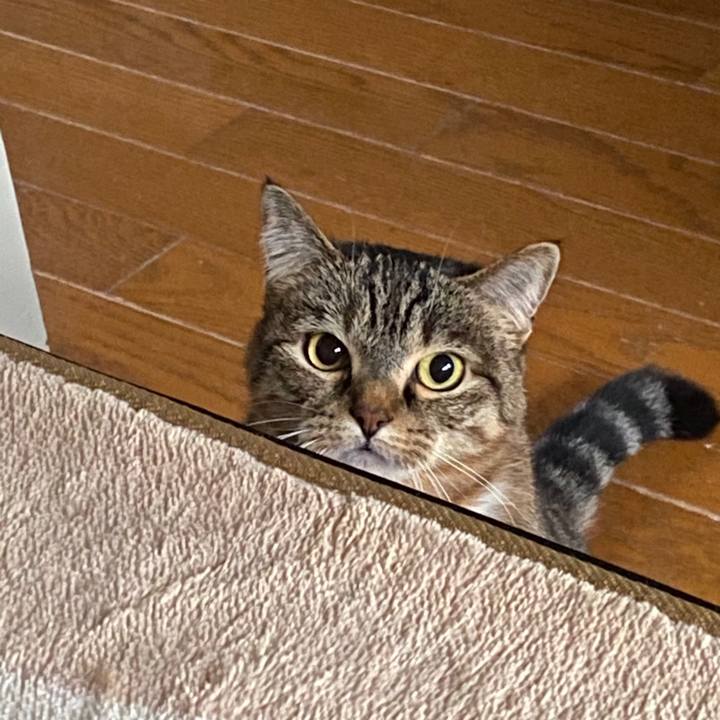 B623f801 1ca5 48aa b09c 93c9388c3804 1577847413736