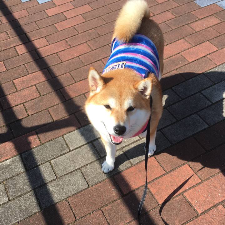 B6240b78 4ee5 42fd 96b2 1270ce147f8a 1540436515910